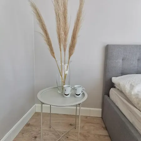 Apartment Tolstoi Scandinavian 1 Bedroom + Free Parking *
